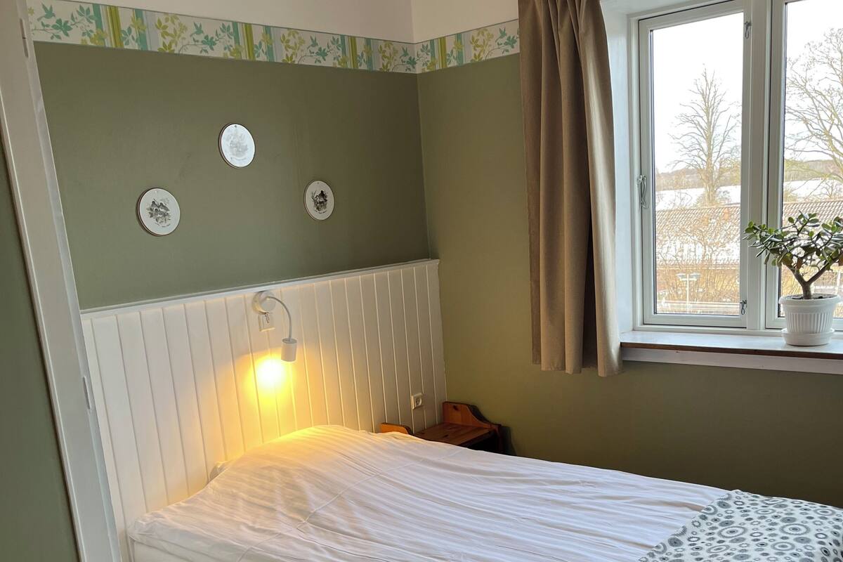 A single bed with a headboard, a bedside table, a lamp, a window with curtains, and a potted plant.