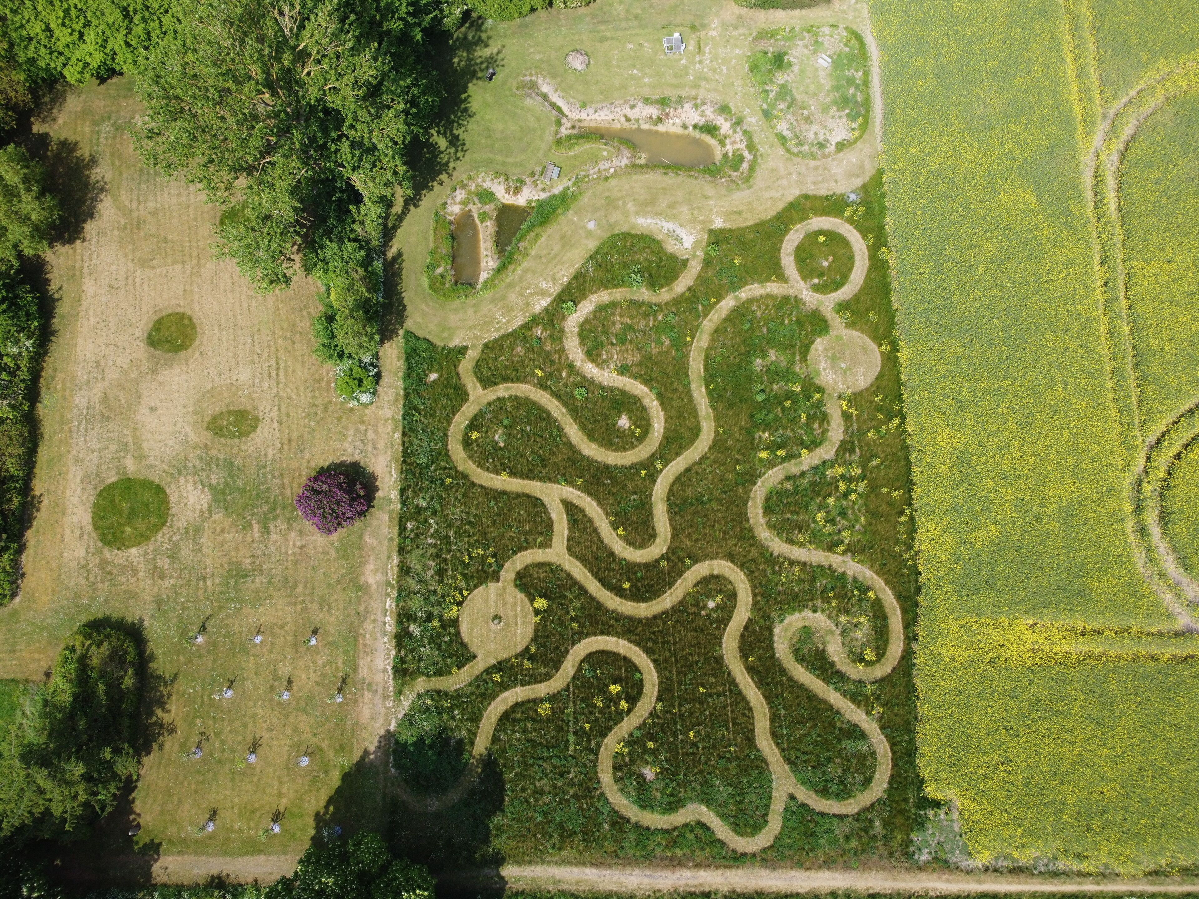 Eine Vogelperspektive eines Parks mit geschwungenen Wegen, offenen Rasenflächen und vereinzelten Bäumen.