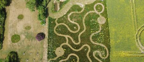 An aerial view of a park with winding paths, open grassy areas, and scattered trees.
