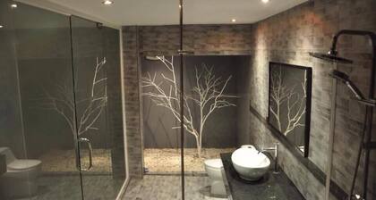 Dydi Loft