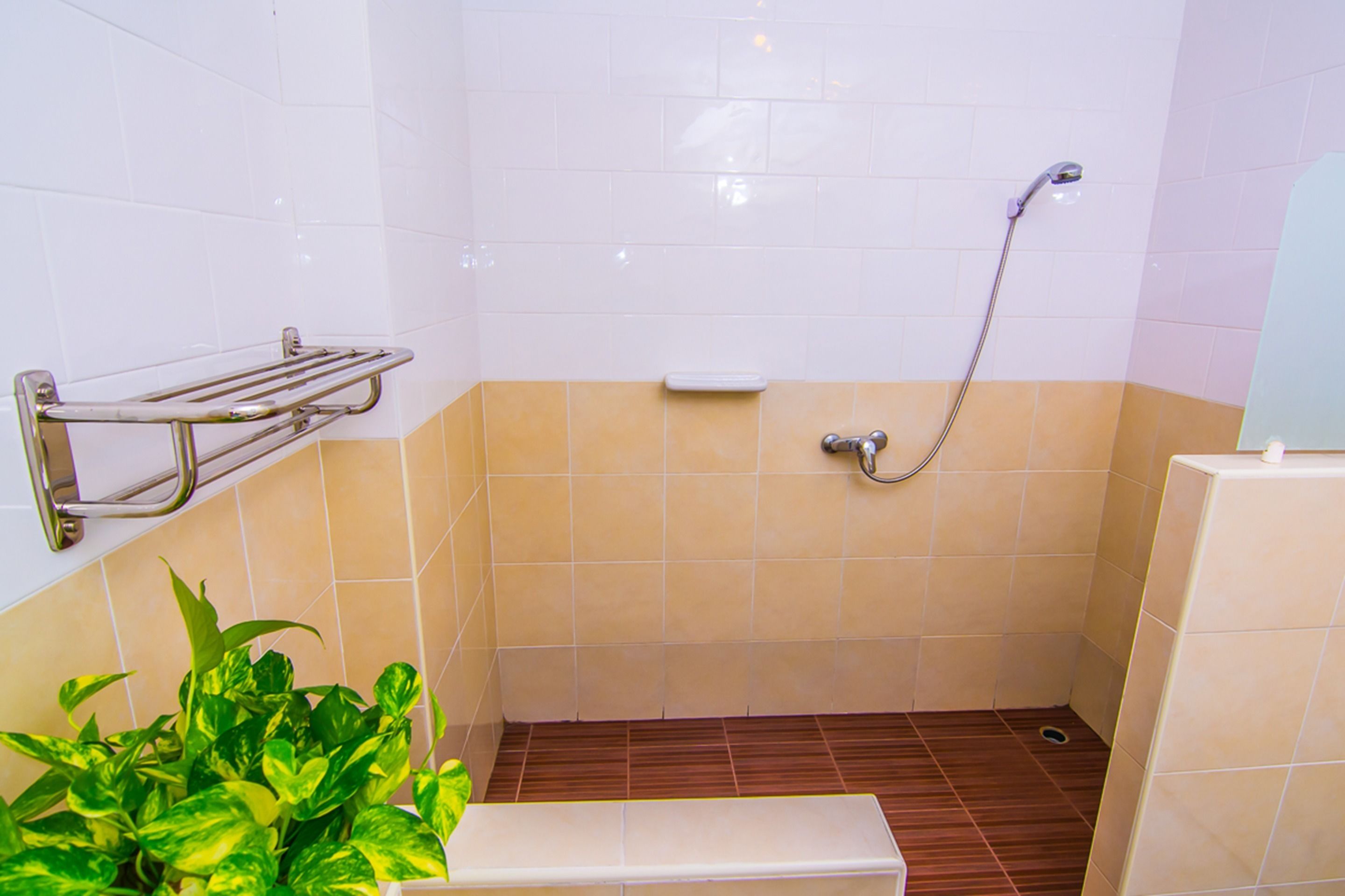 A small bathroom with a shower, a toilet, and a plant.