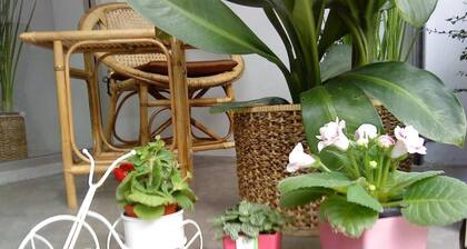 Sabai House