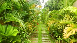 A garden pathway with lush greenery and a stone path. - Villa Nissa (Siem Reap)