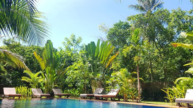 A clear blue pool surrounded by lush greenery and sun loungers. - Villa Nissa (Siem Reap)