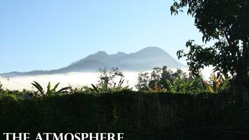 A lush garden with dense foliage and a mountain in the background.