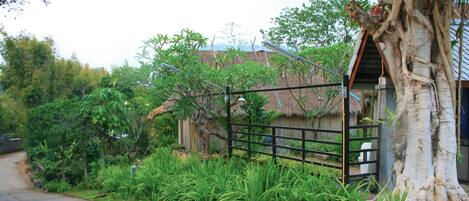 A rural setting with a thatched-roof house, a large tree, and a concrete pathway.