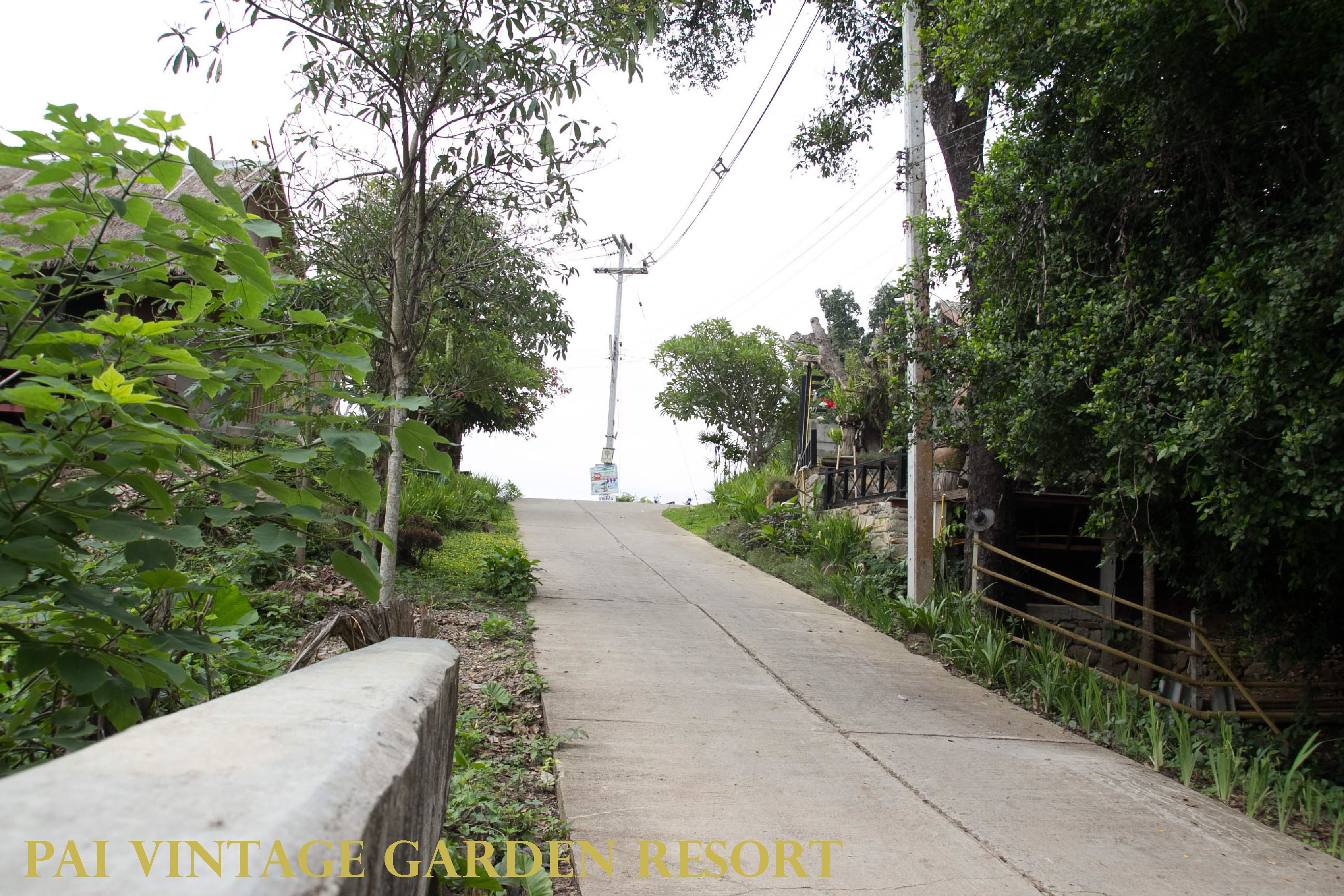A paved pathway flanked by lush greenery and a rustic fence, leading towards a distant structure.