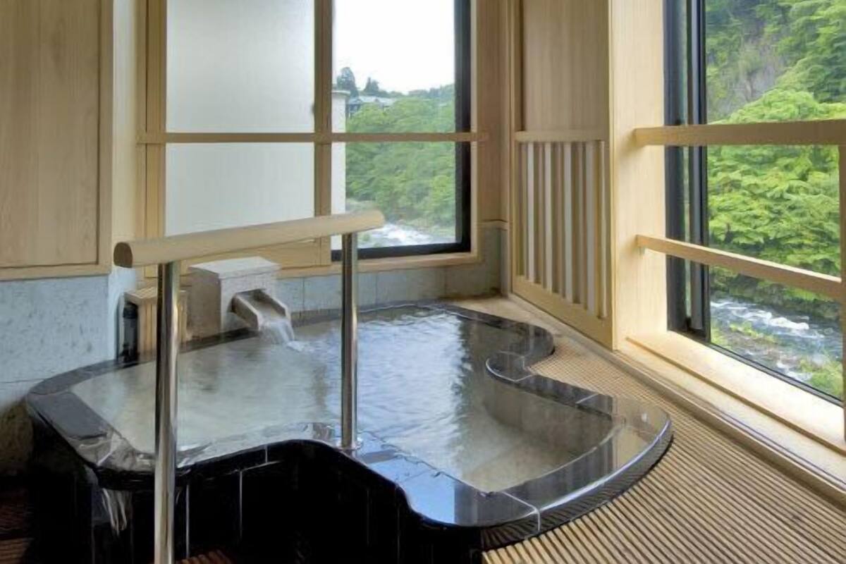 A hot spring room with a view of a forest and a river.