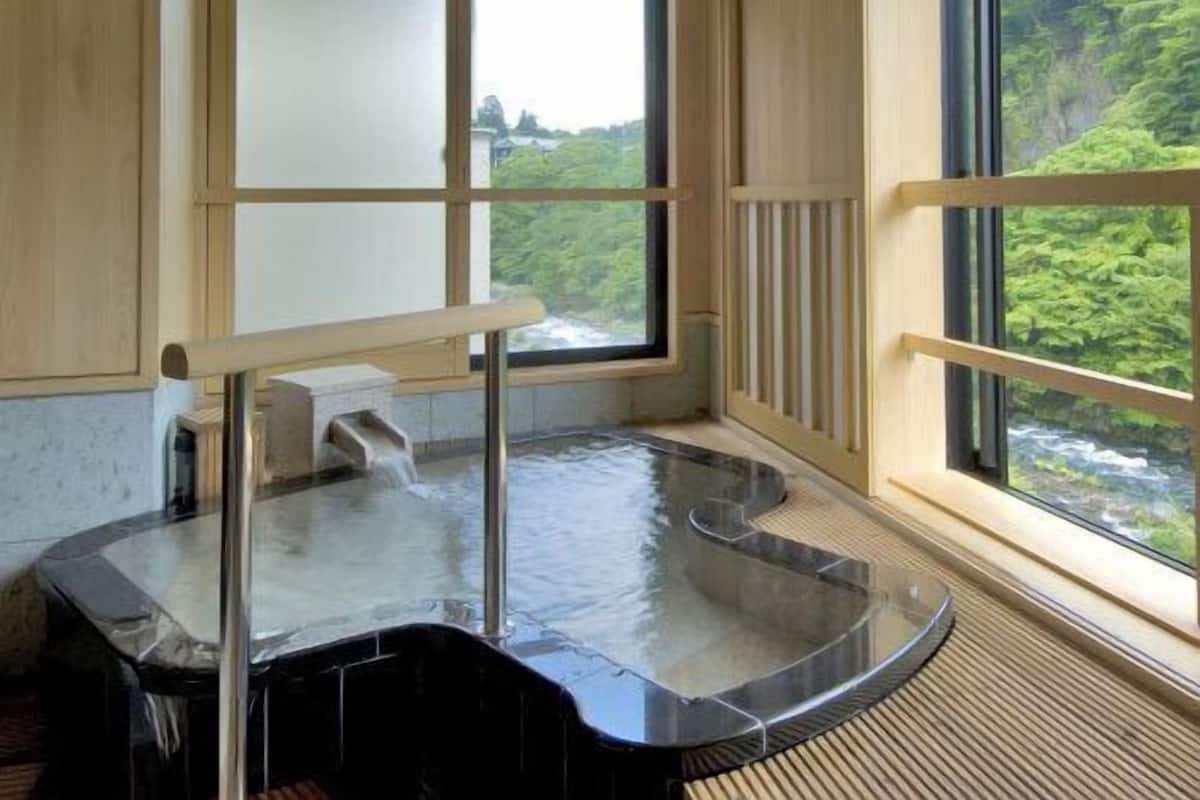 A hot spring room with a view of a forest and a river.