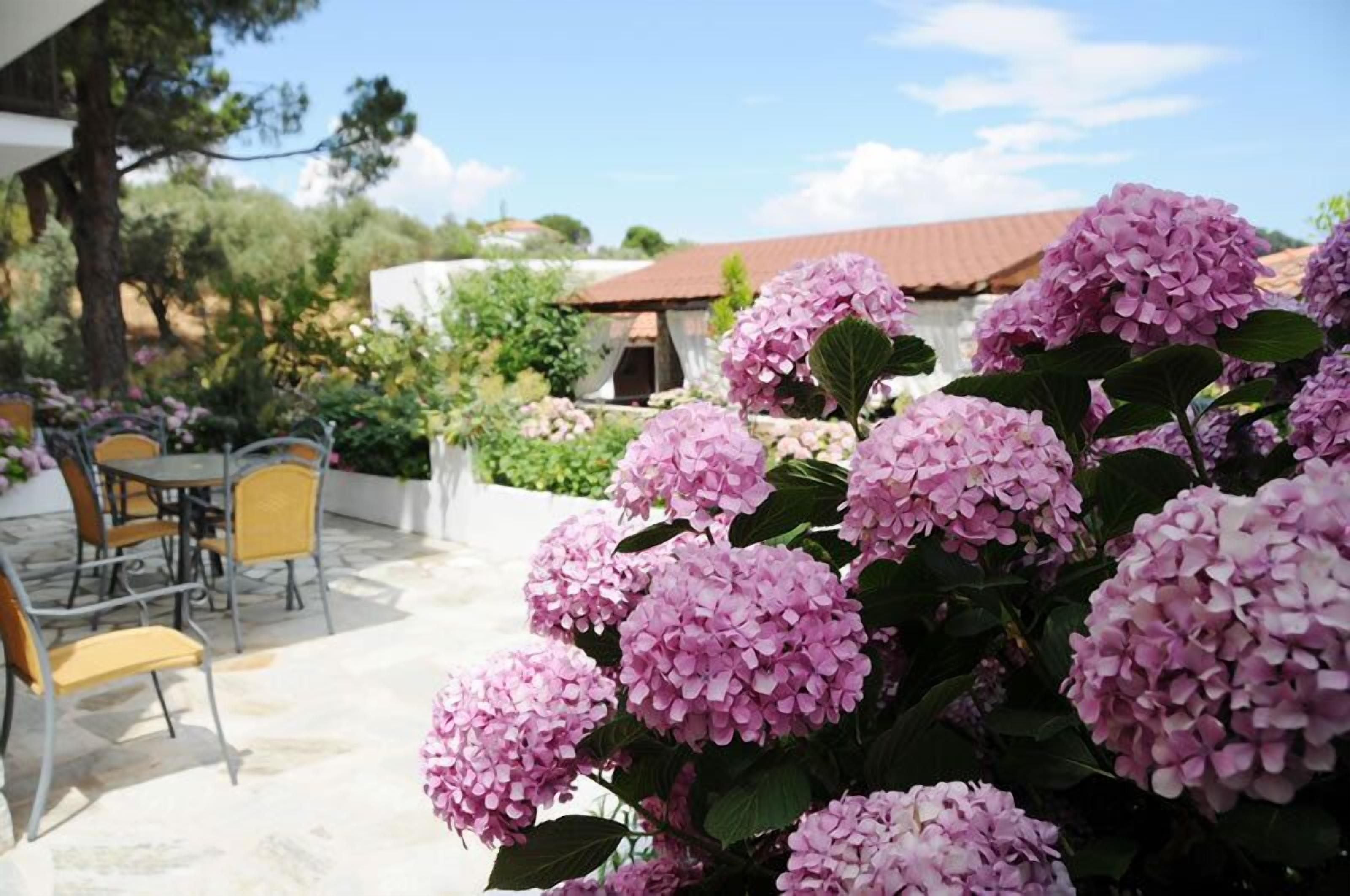 A patio with outdoor seating and a garden with pink hydrangea flowers.