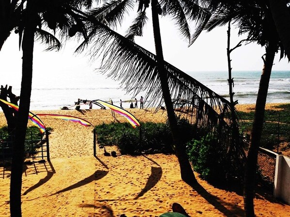 Di pantai, 3 bar pantai, dan berselancar