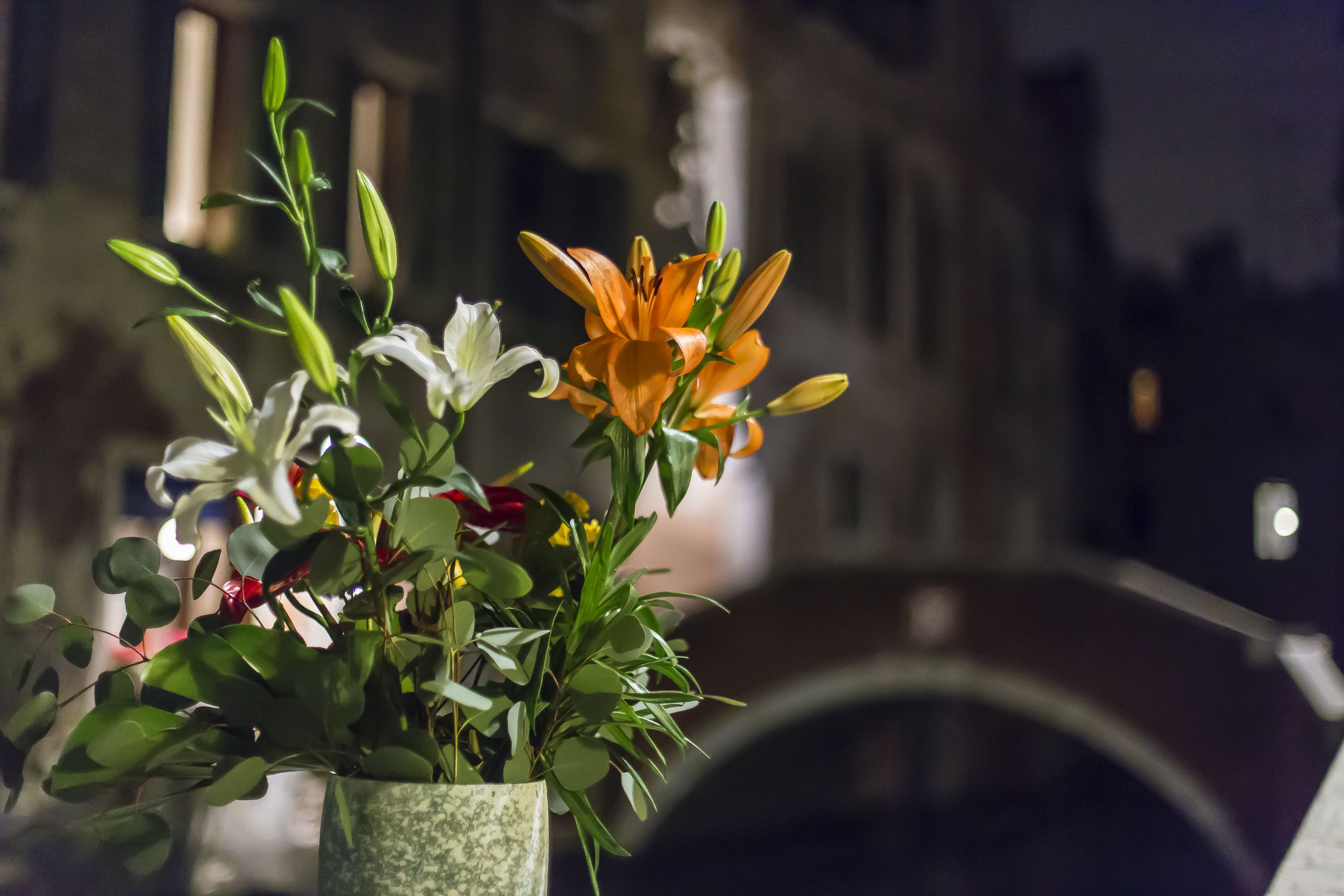 Foto - Dimora Dogale