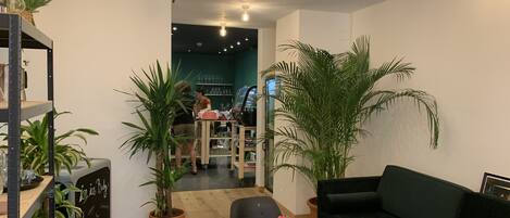 A modern interior with a wooden floor, a black sofa, and several potted plants.