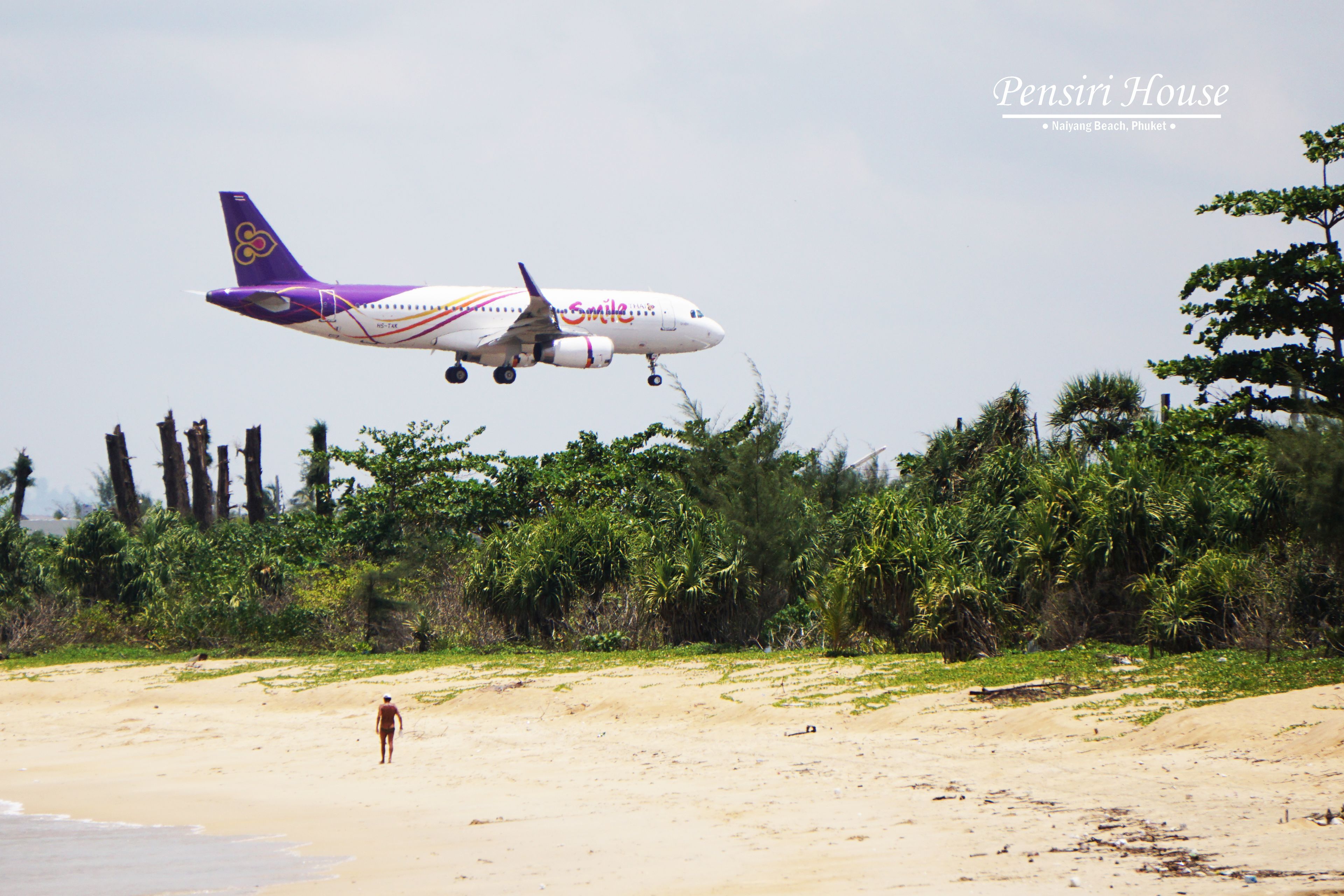 Un avion qui atterrit sur une plage, avec une végétation dense en arrière-plan.