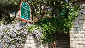A sign with directions to a hotel named "Haus - Kuča Moretti" and a stone wall with flowering plants. - Guesthouse Moretić (Dubrovnik)