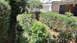 Une cour intérieure agrémentée de différentes plantes et d’un palmier.
