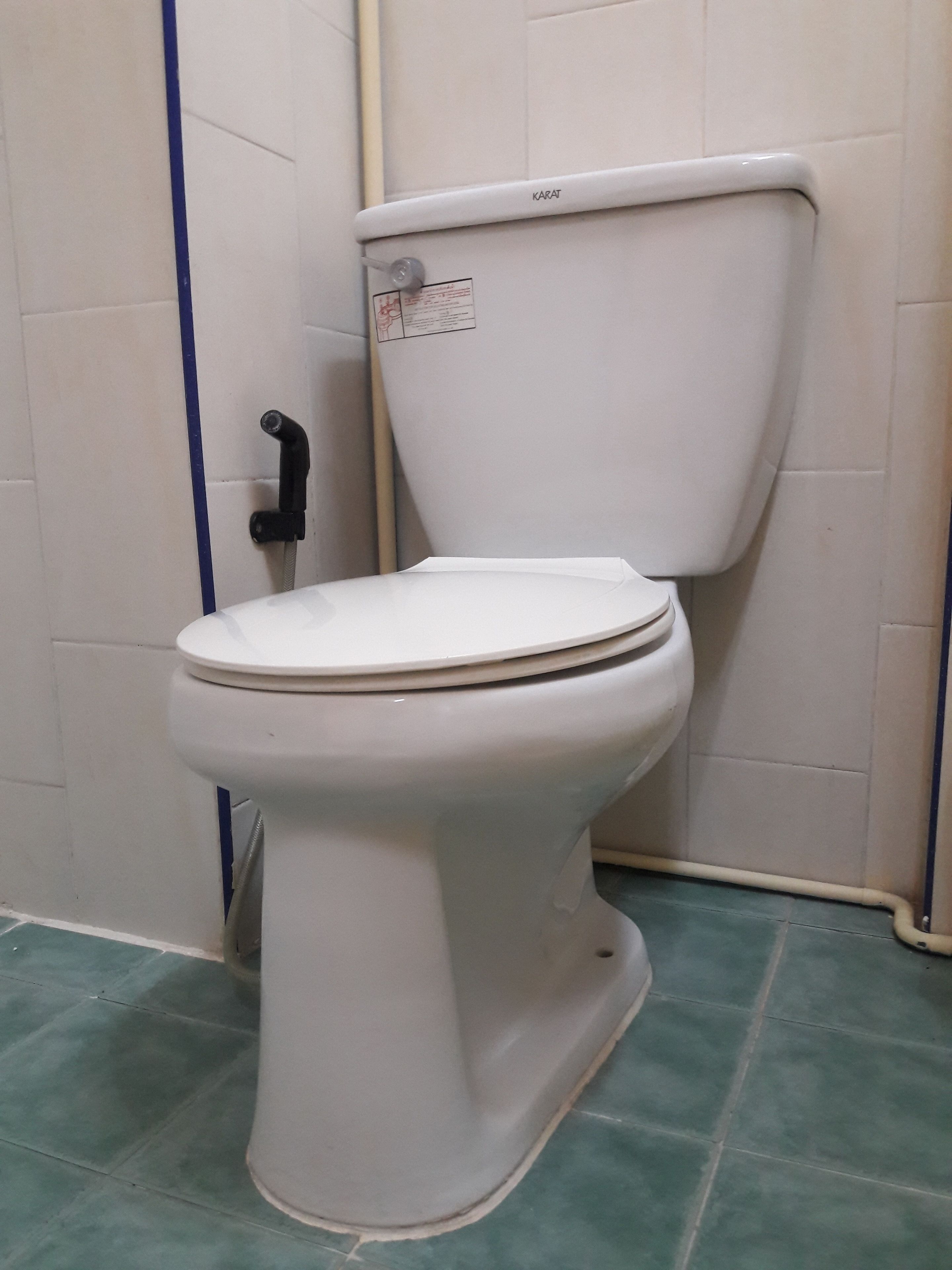 Sanitário branco com cano azul e etiqueta no reservatório.