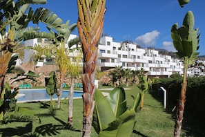 Seasonal outdoor pool, sun loungers
