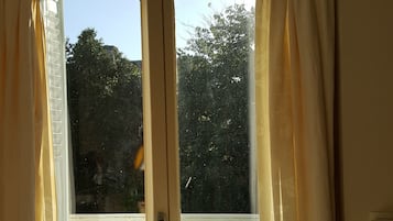 雙人房, 露台 | 陽台