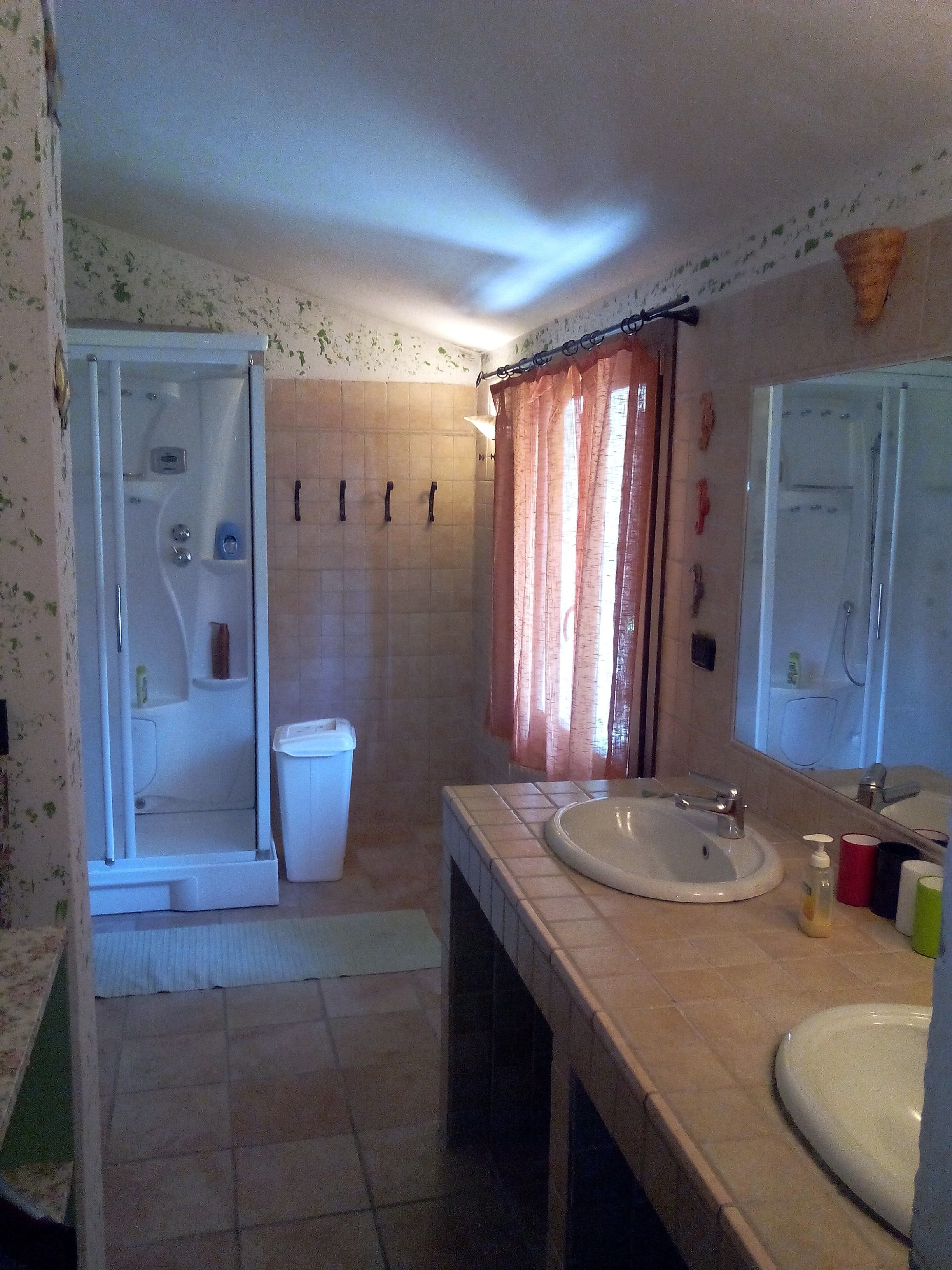 Un baño con ducha, inodoro, lavabo y espejo.