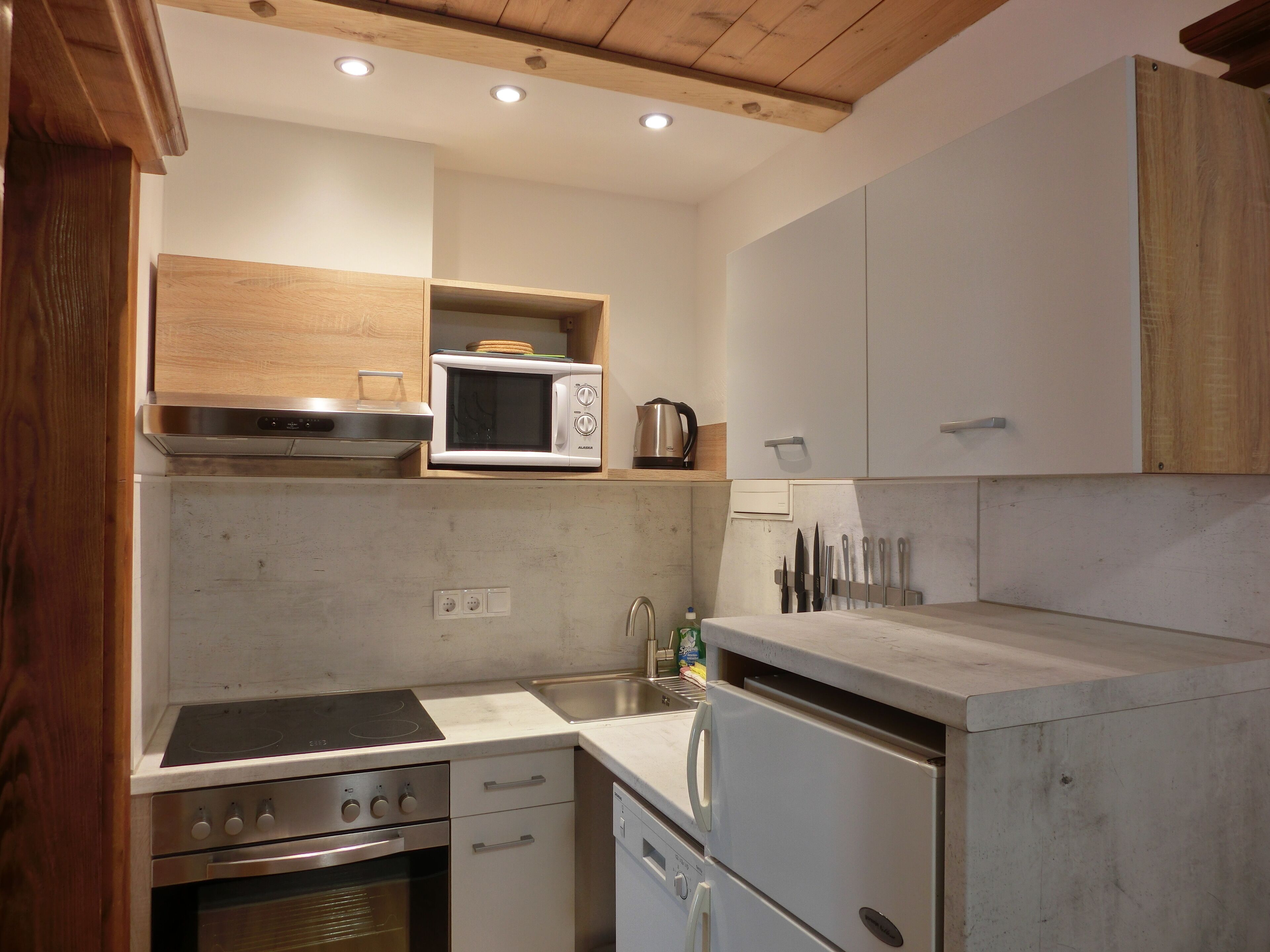 Grand Apartment, 3 Bedrooms, Patio, Lakeside | Private kitchen | Fridge, microwave, stovetop, espresso maker