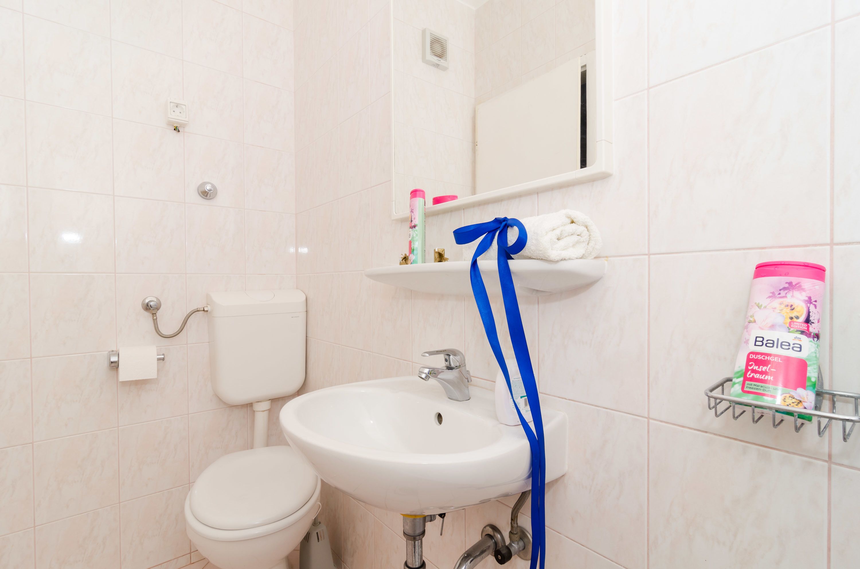 A bathroom with a white sink, toilet, and a shelf with toiletries.
