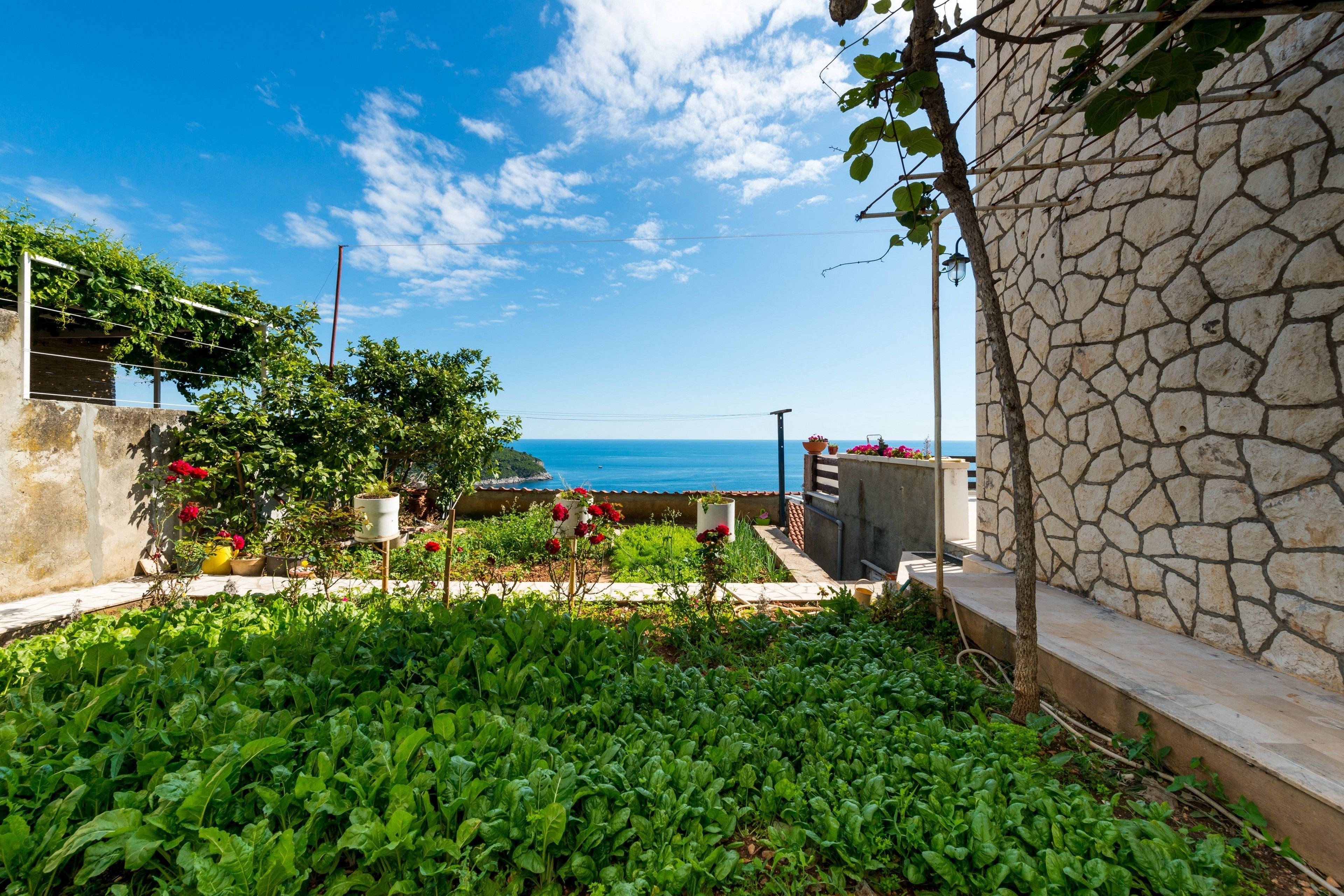Un jardín con vista al mar, muros de piedra y plantas en macetas.