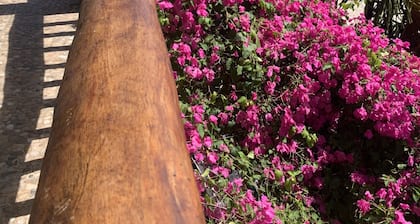 All Seasons Belize