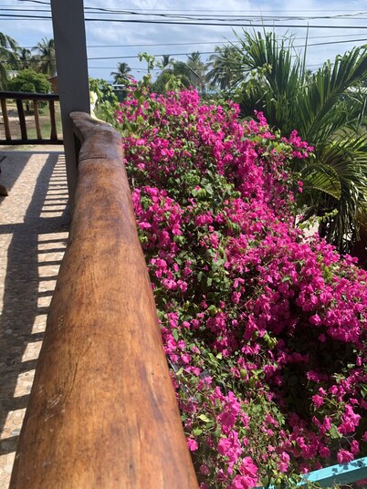 All Seasons Belize