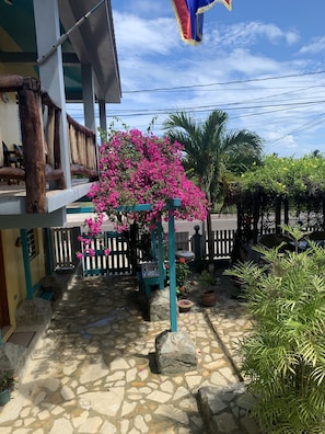 Exterior - All Seasons Belize (Hopkins)