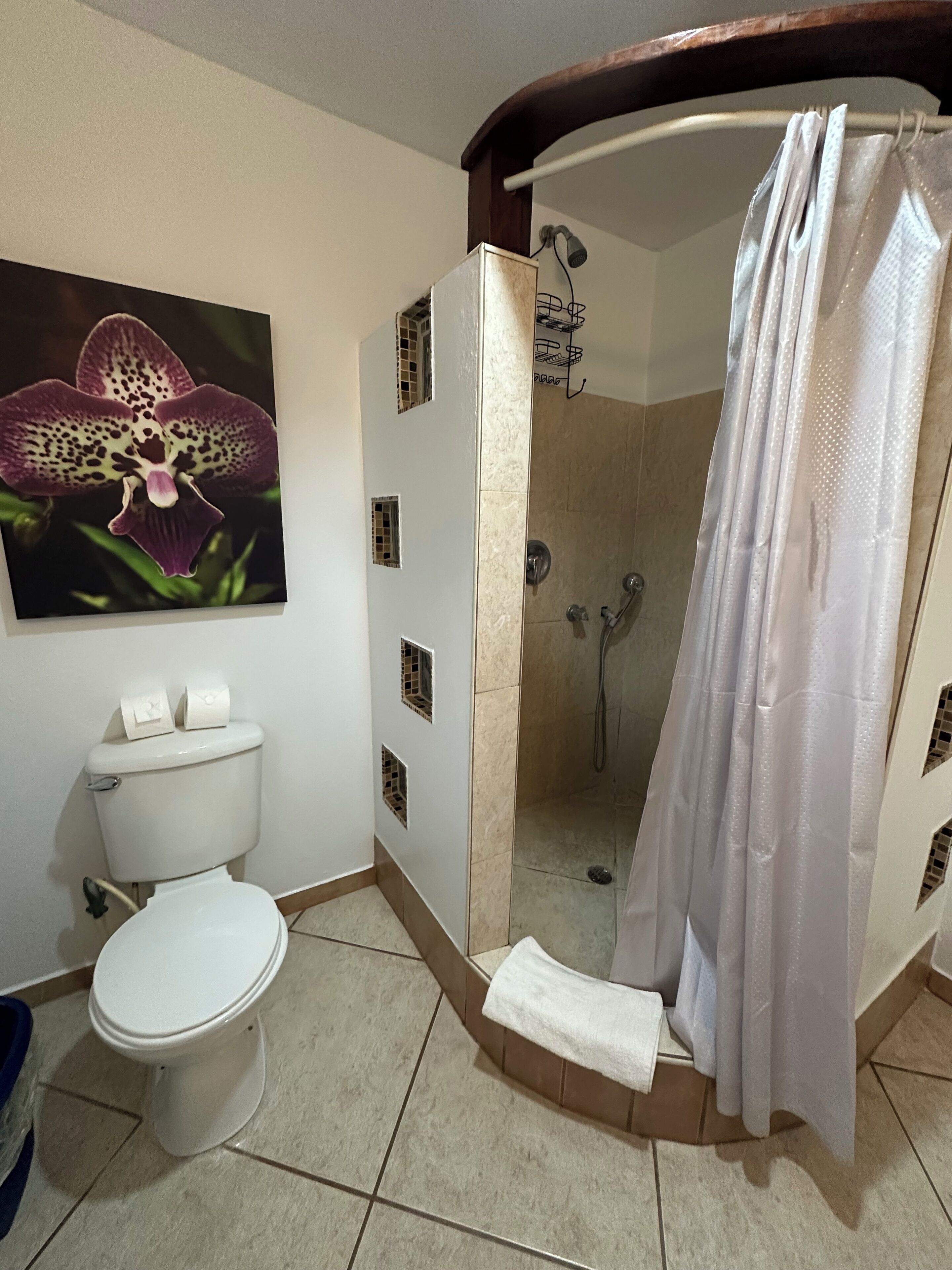 comfort room, multiple beds, refrigerator, courtyard area | bathroom | shower, free toiletries, hair dryer, towels