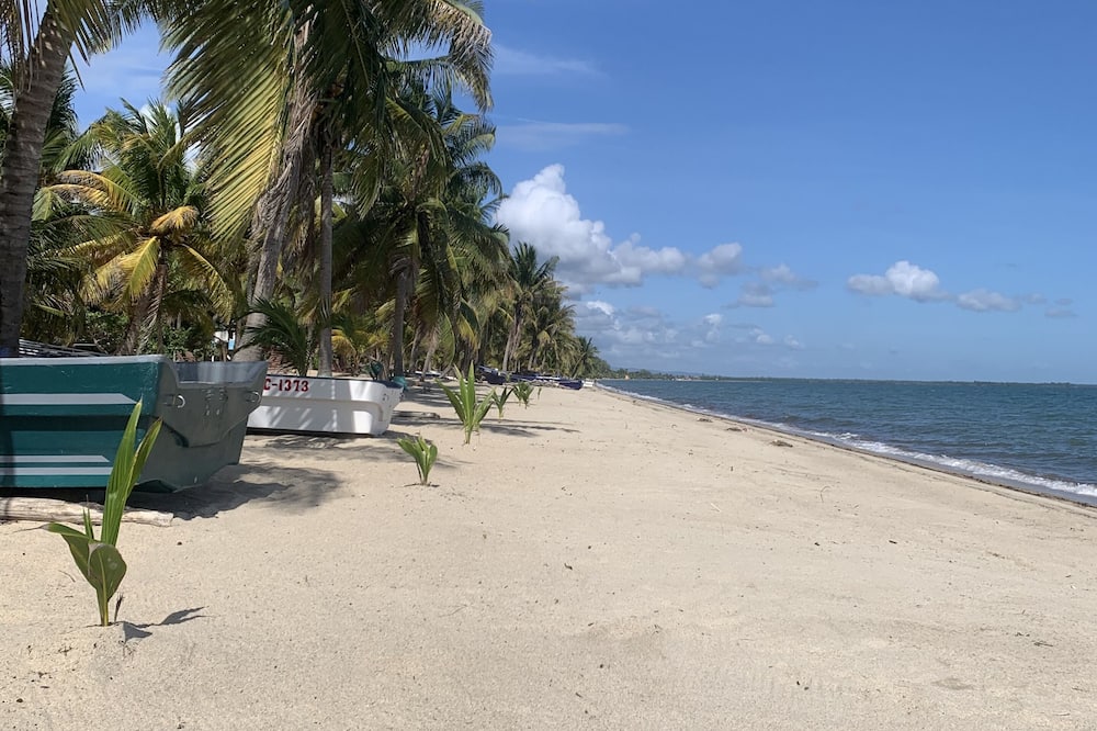 All Seasons Belize
