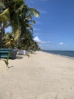 Perto da praia, prática de pesca 