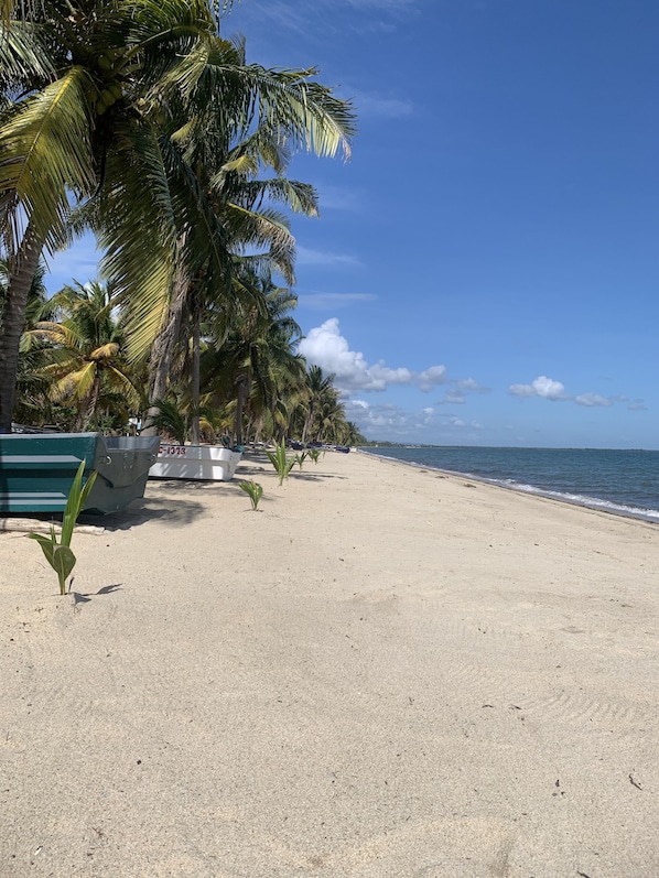 Plage à proximité, pêche sur place