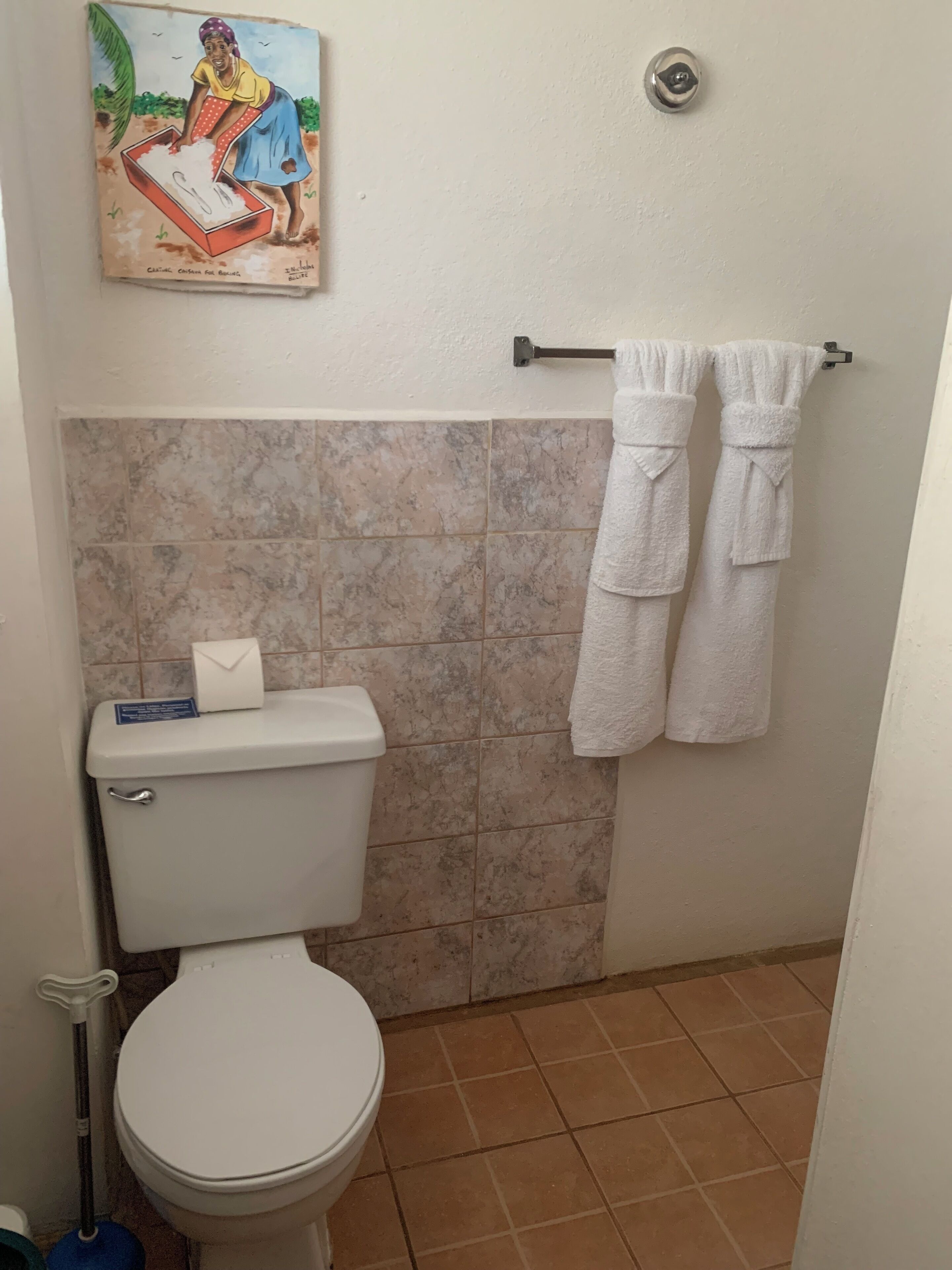 Ein Badezimmer mit Toilette, einem Handtrockner, einem Handtuchhalter mit zwei Handtüchern und einem Bild an der Wand.