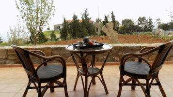 Cottage | Terrace/patio