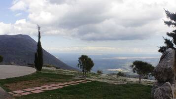 Un camino pavimentado que conduce a un área verde con árboles y una montaña al fondo.