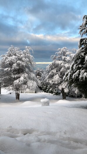 숙박 시설 구내