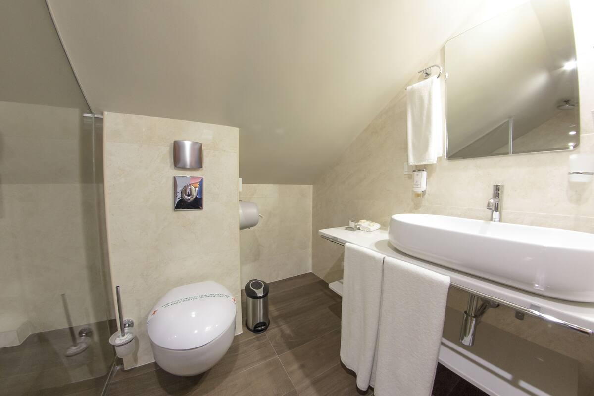 standard double room, balcony | bathroom | shower, free toiletries, dressing gowns, towels