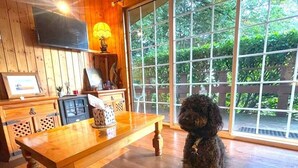 A wooden interior with a dining table, a television, and a window with a view of greenery. - Robin Hill House Heritage B&B (Cobh)