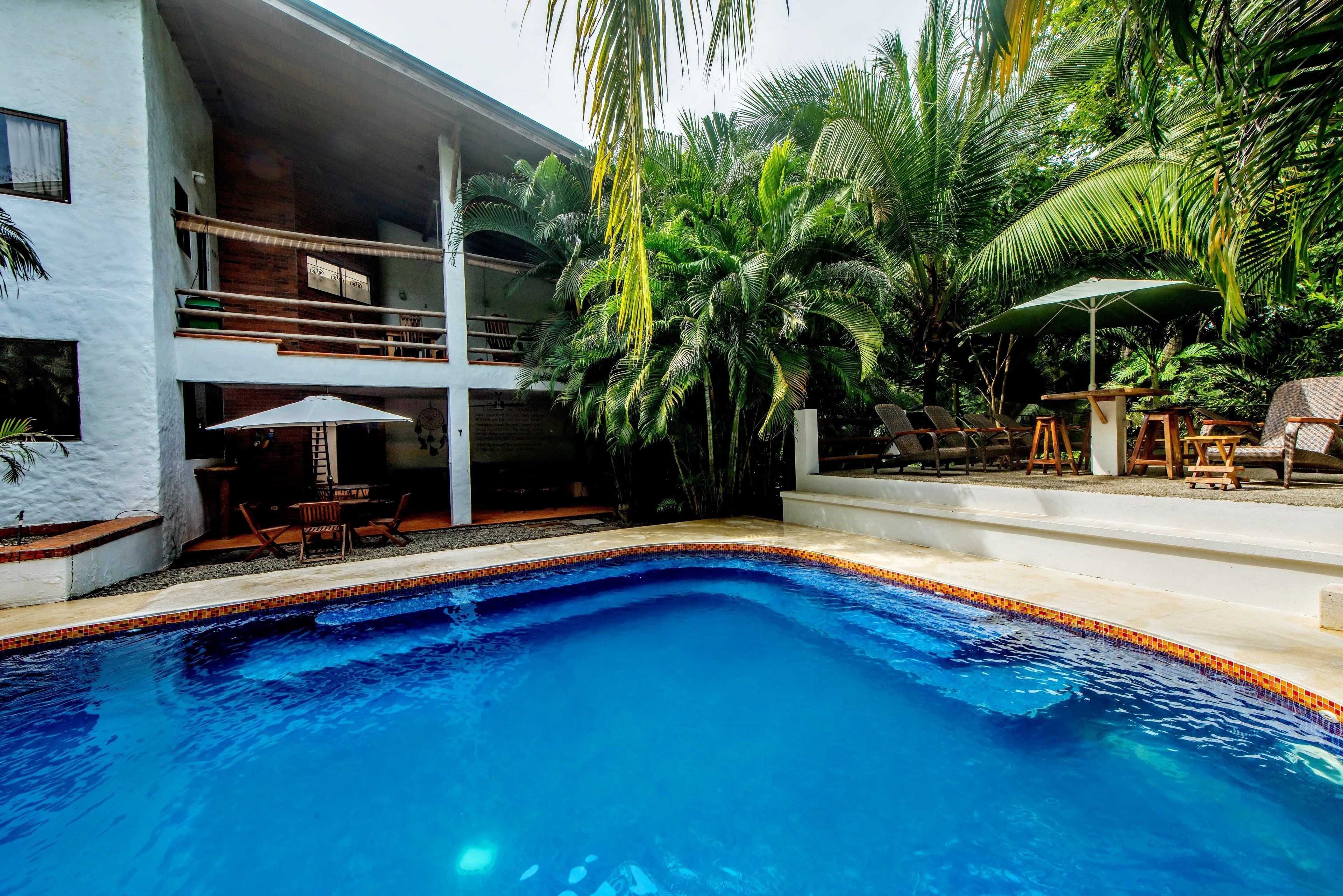Una piscina con borde de azulejos, rodeada de palmeras y sillas de descanso.