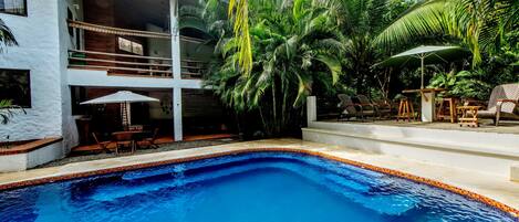Una piscina con borde de azulejos, rodeada de palmeras y sillas de descanso.