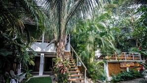 A staircase surrounded by lush greenery, leading to a building with a sign reading "CARTAPASUENOS". - Atrapasuenos Dreamcatcher Hotel (Cóbano)