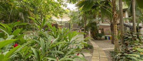 A lush garden with a pathway leading to a building.