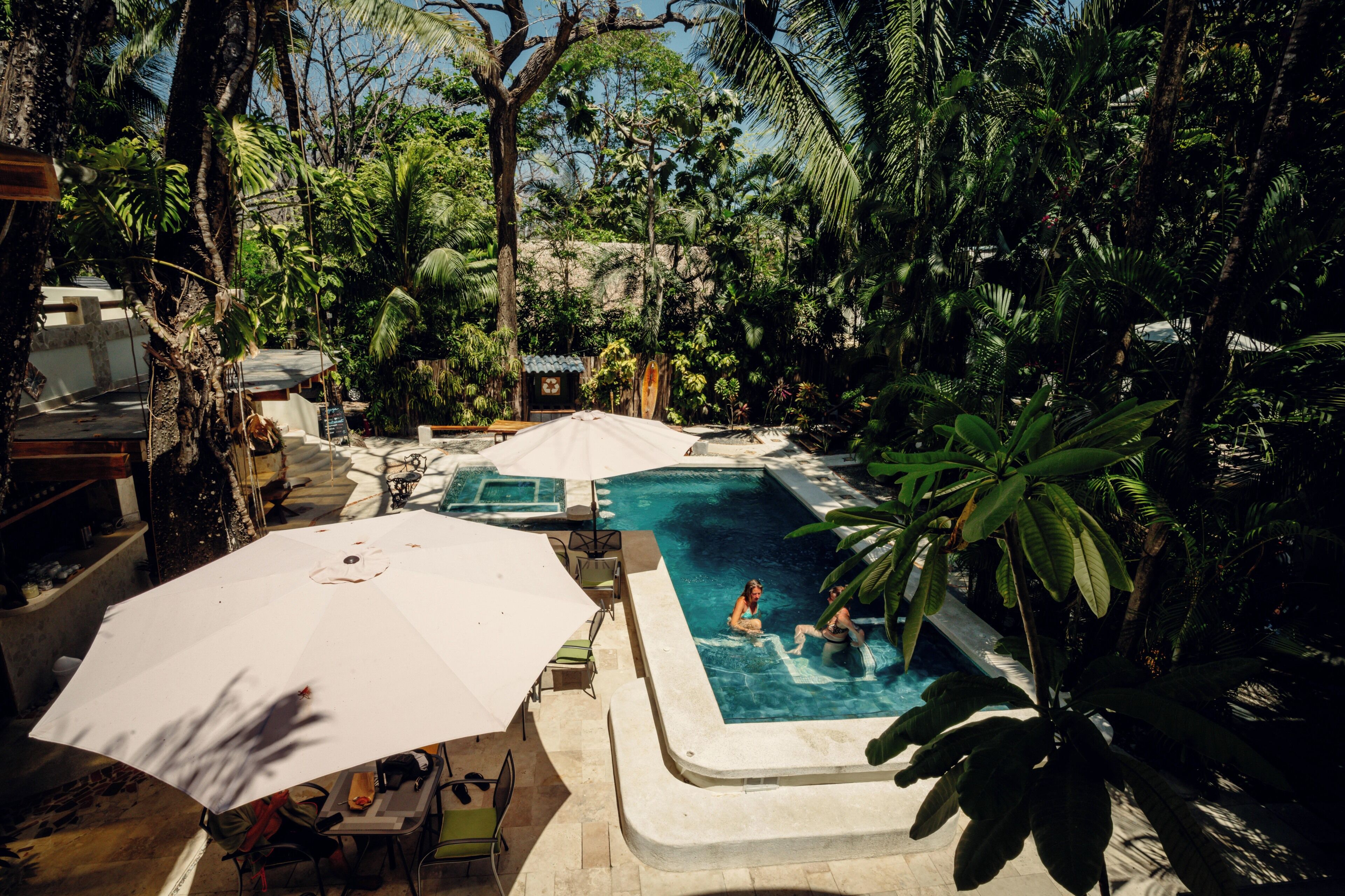 Una piscina rodeada de abundante vegetación, con algunas personas nadando.