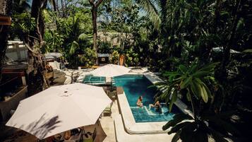 Una piscina rodeada de abundante vegetación, con algunas personas nadando.