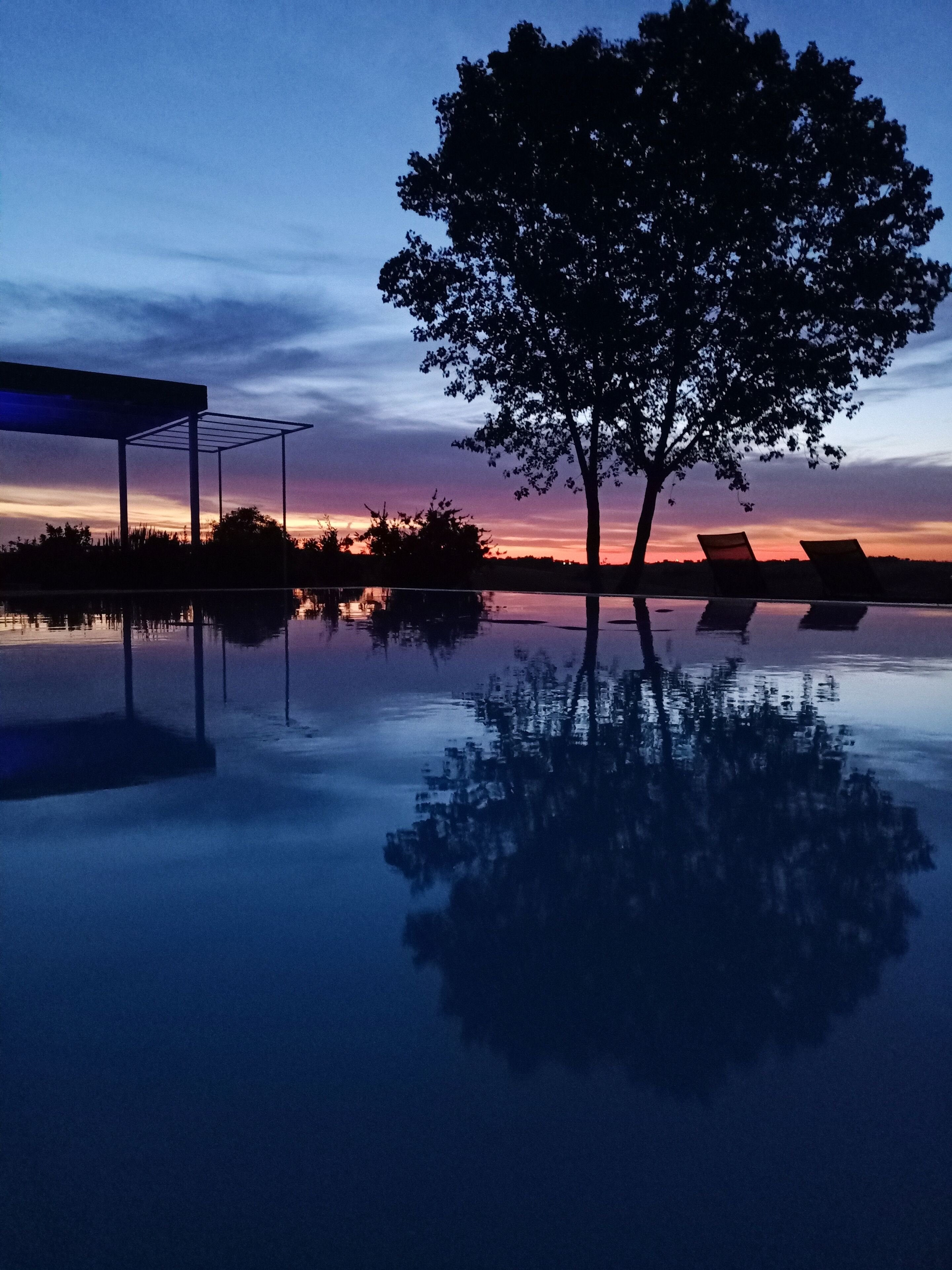 A serene evening by a reflective pool with a tree and lounge chairs.