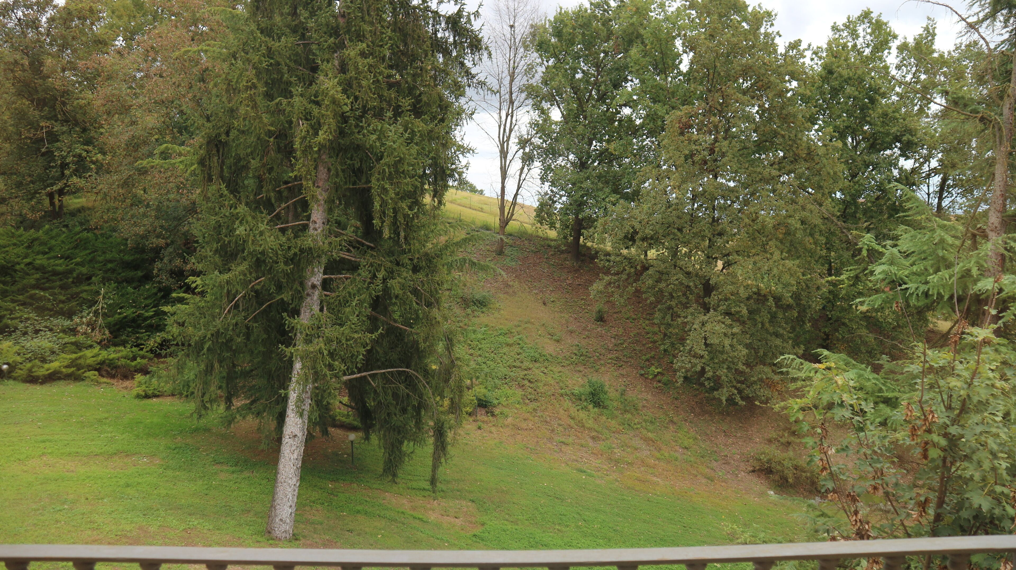 Foto - La Regibussa - Hotel Ristorante