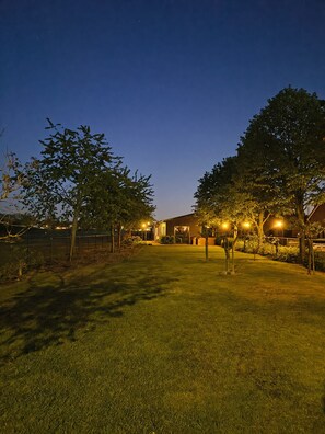 A well-lit outdoor area with a lawn, trees, and a building with illuminated windows. - Studio Verhuur Jamzes (Hoogerheide)