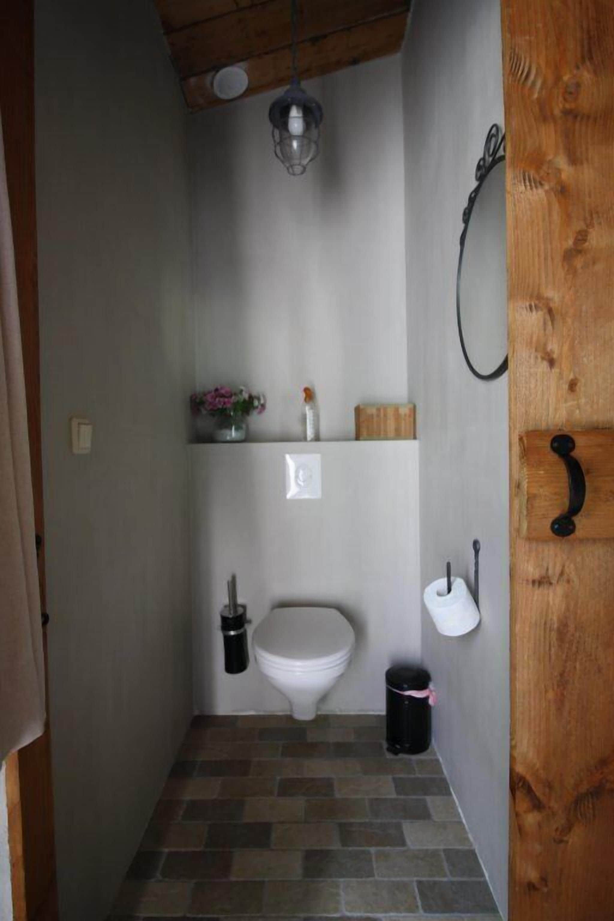 Une petite salle de bain comprenant des toilettes, une petite étagère avec des articles de toilette, un luminaire suspendu et une porte en bois.